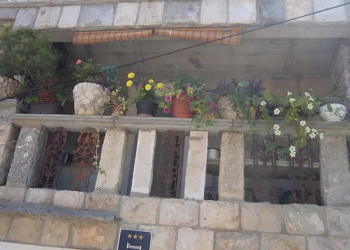 Guest house The Palm